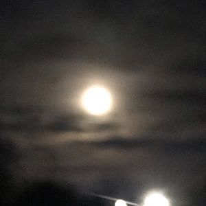 Meet your Posher, Dean